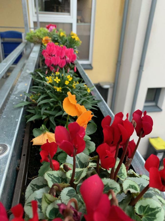 Apartment Koeln Ensen Ngoại thất bức ảnh